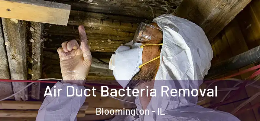  Air Duct Bacteria Removal Bloomington - IL