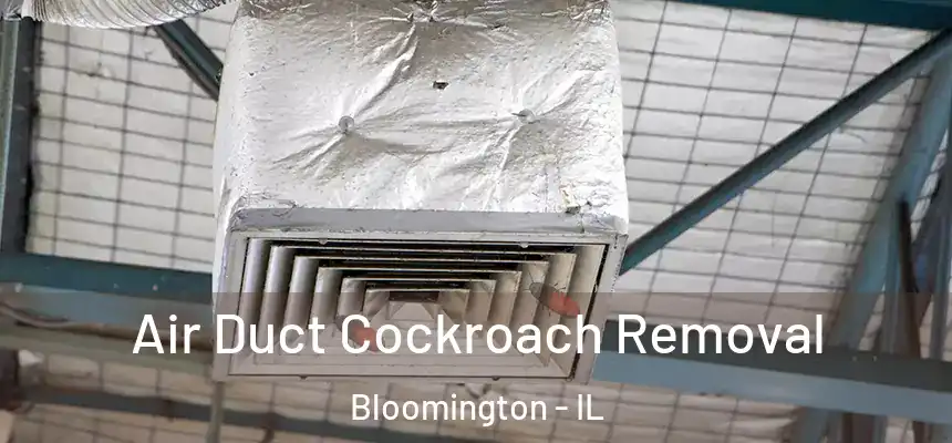  Air Duct Cockroach Removal Bloomington - IL