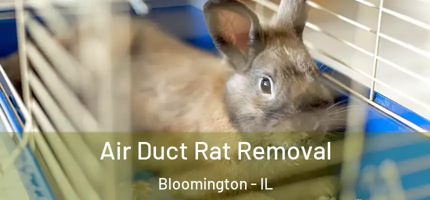  Air Duct Rat Removal Bloomington - IL
