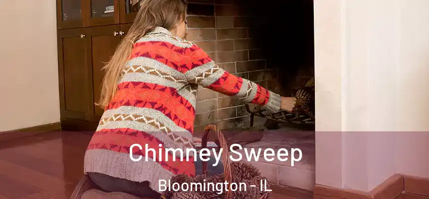  Chimney Sweep Bloomington - IL