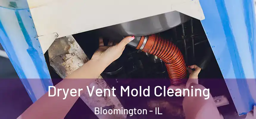  Dryer Vent Mold Cleaning Bloomington - IL
