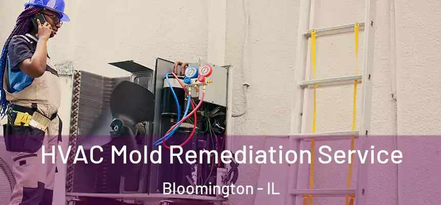  HVAC Mold Remediation Service Bloomington - IL
