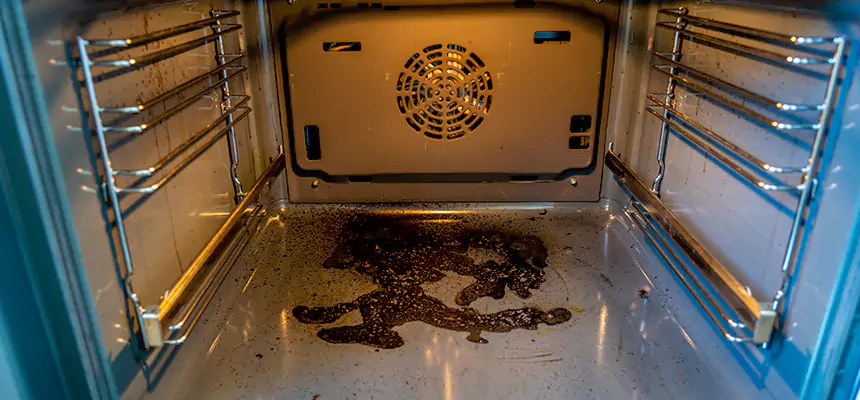 Our Dryer Vent Mold Cleaning Services in Bloomington, IL