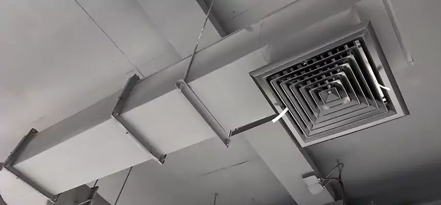 Our Pest Removal From Ducts Services in Bloomington, IL