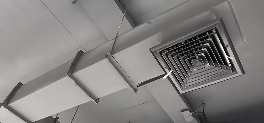 Our Rodent Droppings In Vents Services in Bloomington, IL