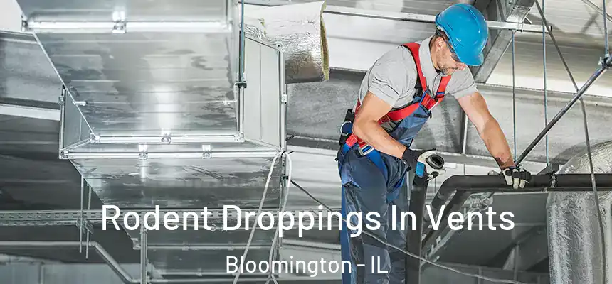  Rodent Droppings In Vents Bloomington - IL