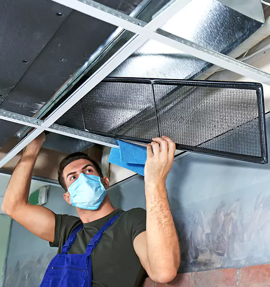 About Air Duct Bacteria Removal in Bloomington