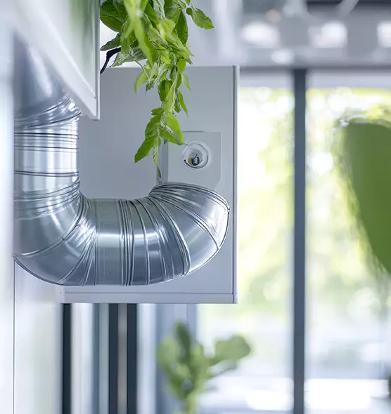 Professional Eco-Safe Dryer Vent Cleaning in Bloomington, IL