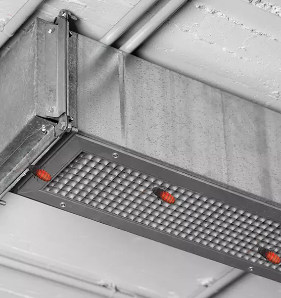 Affordable Insect Removal from Air Ducts in Bloomington, IL