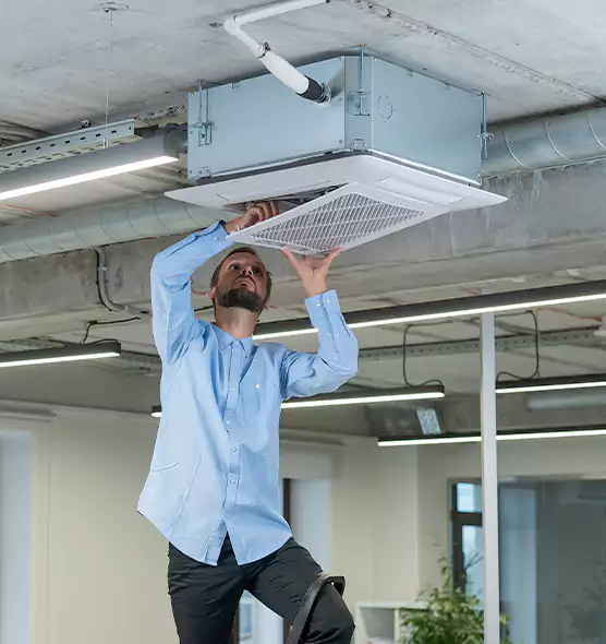 Advanced Rodent Droppings In Vents in Bloomington, IL