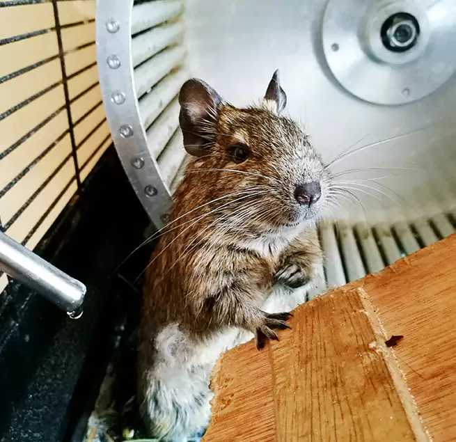 Why Homeowners & Businesses Trust Us Bloomington, IL