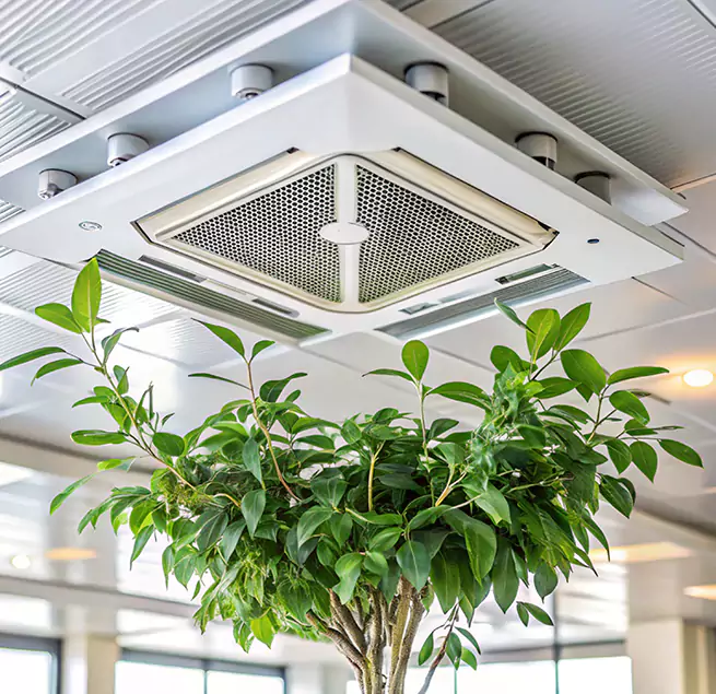 Why Homeowners & Businesses Trust Us in Bloomington, IL