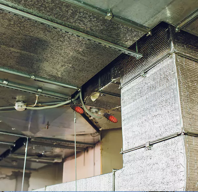 Why Homeowners & Businesses Trust Us Bloomington, IL?