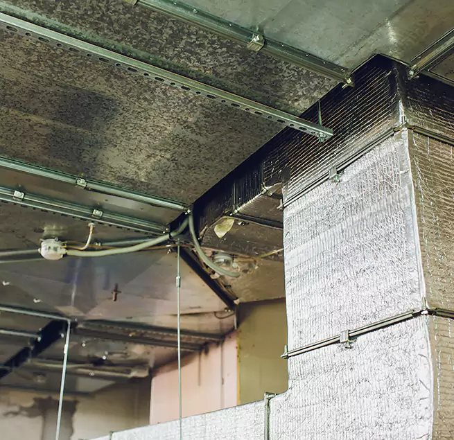 Why Homeowners & Businesses Trust Us in Bloomington, IL?